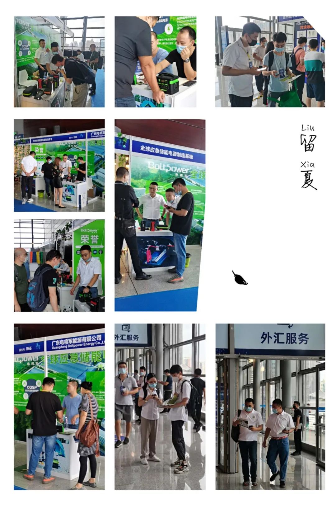 鹰熊汇现场,鹰熊汇最新视频