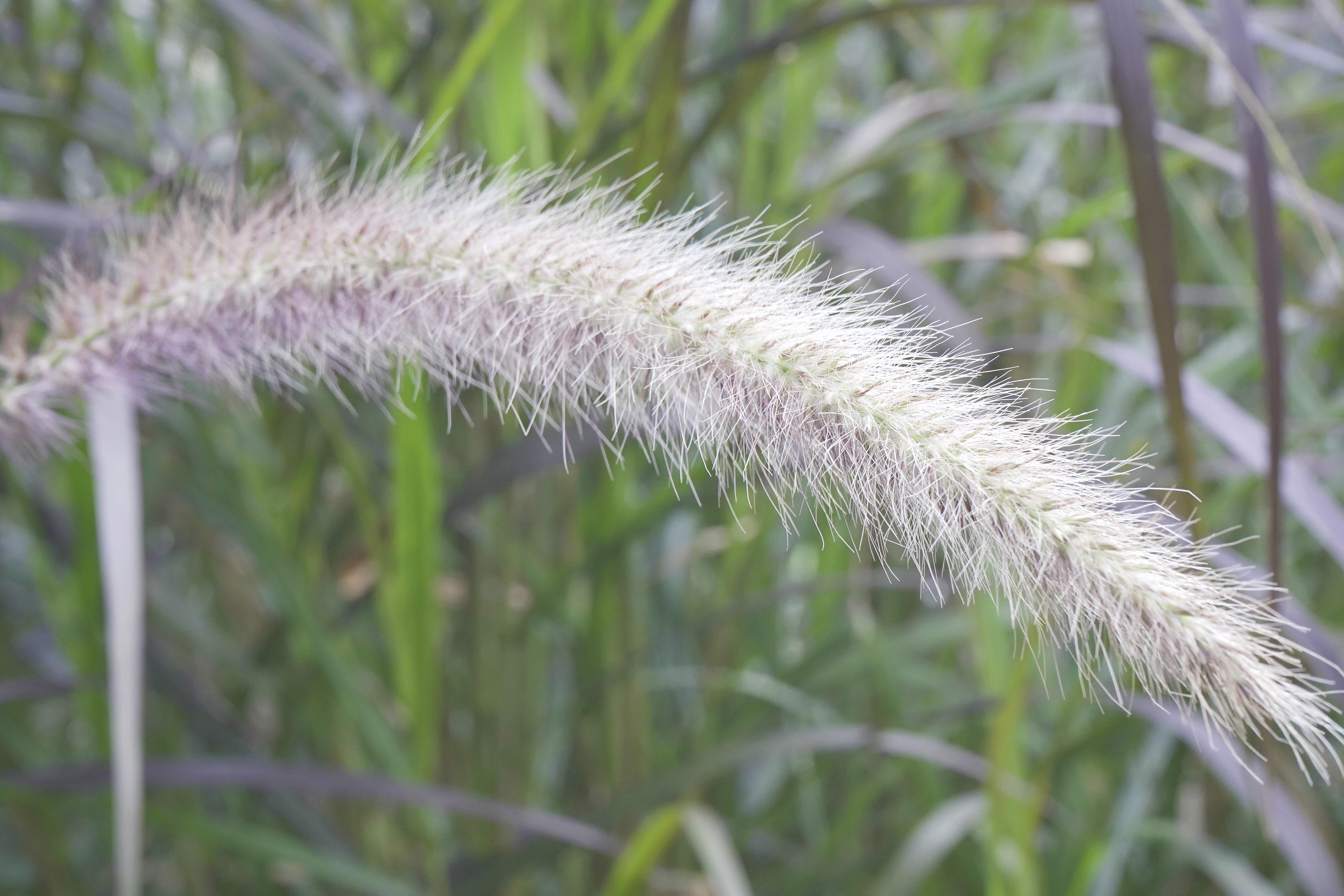 光圈与景深的分析图,焦距光圈物距与景深关系