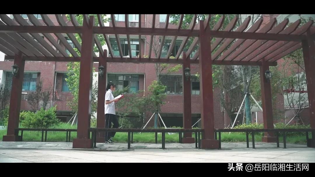 临湘学校宣传片,厉害了我的学校视频