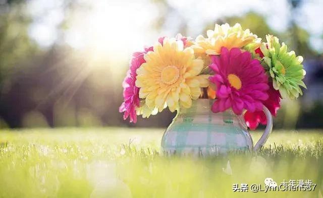 丰盛富足的人有哪些,内心丰盛富足是什么状态