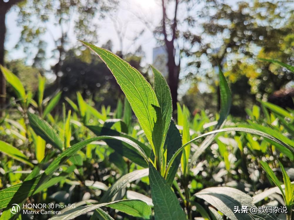 荣耀30pro2024年还值得入手吗,荣耀2020年上市的最高端手机