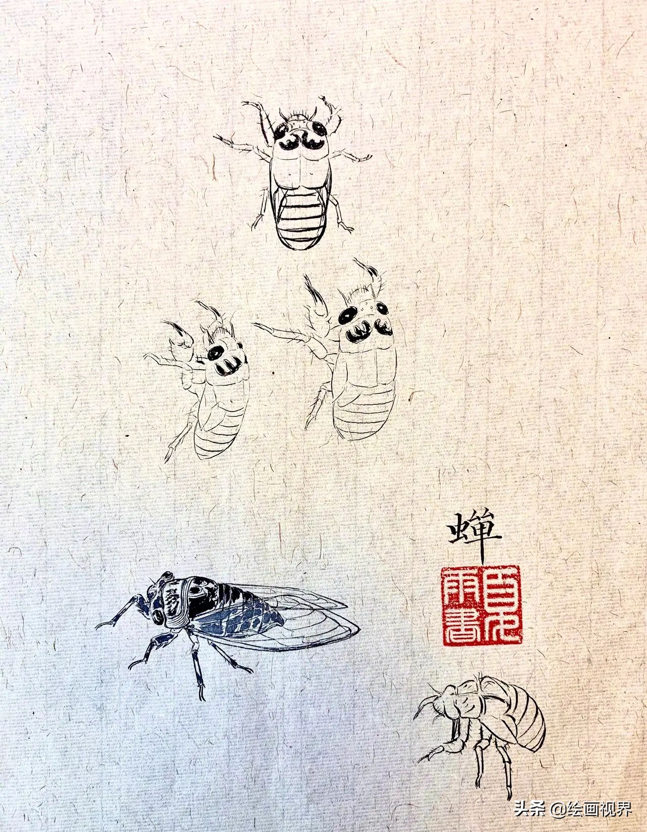 他是明星里面画画最好的，谦虚自嘲只是爱好，网友：堪称专业画家