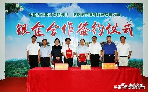 信阳油茶项目,信阳油茶产业有限公司