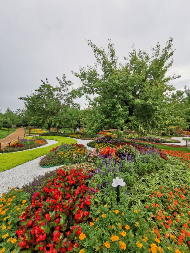 百花园里花里花争艳,百花园里百花香
