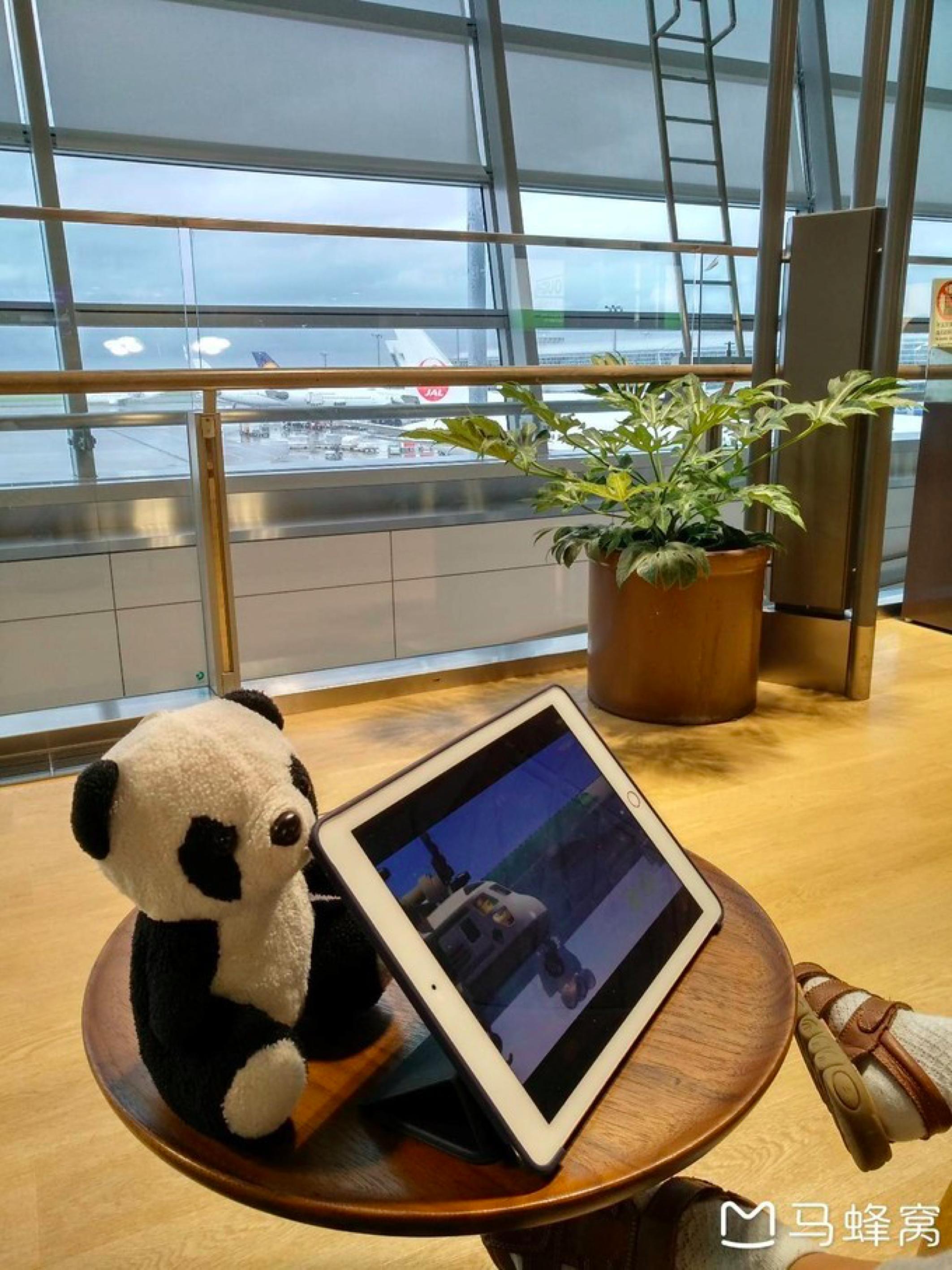 名古屋七日游自由行,名古屋3天自由行攻略