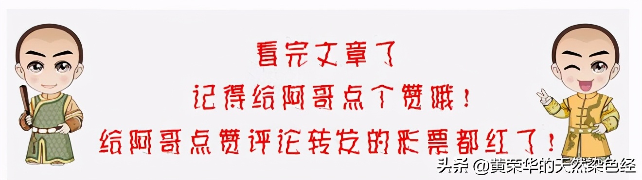 染色植物手工,纯手工植物染布棉布