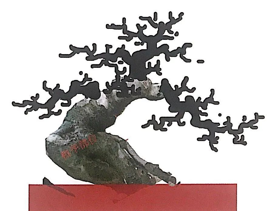 榆树盆景用的榆树是什么品种,小榆树盆景设计100种形态