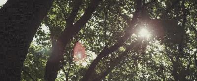 一款让人无法忘怀的香水,了解一款经典香水的故事与特点