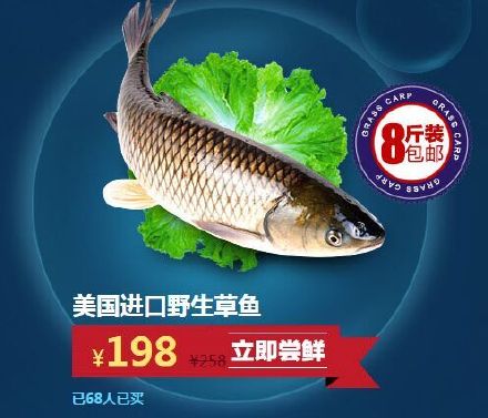 比利时大闸蟹泛滥视频,比利时大闸蟹出口到中国