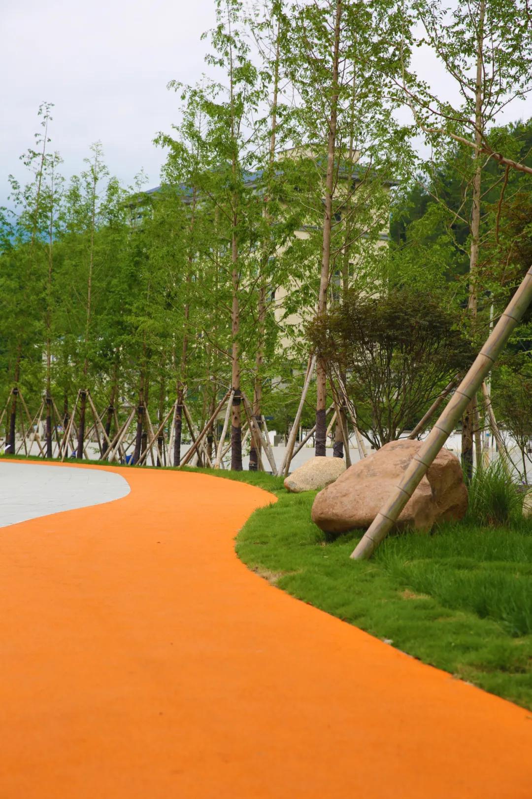 篮球场亲子运动健身,全民健身公园篮球场开放时间