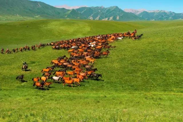 甘肃唯一一个与蒙古国接壤的地区,什么是甘肃独有民族