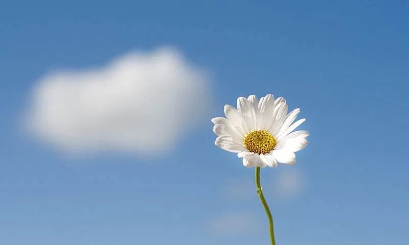 2020开启“科幻元年”：二楼隔空卖水果、遥控车买...