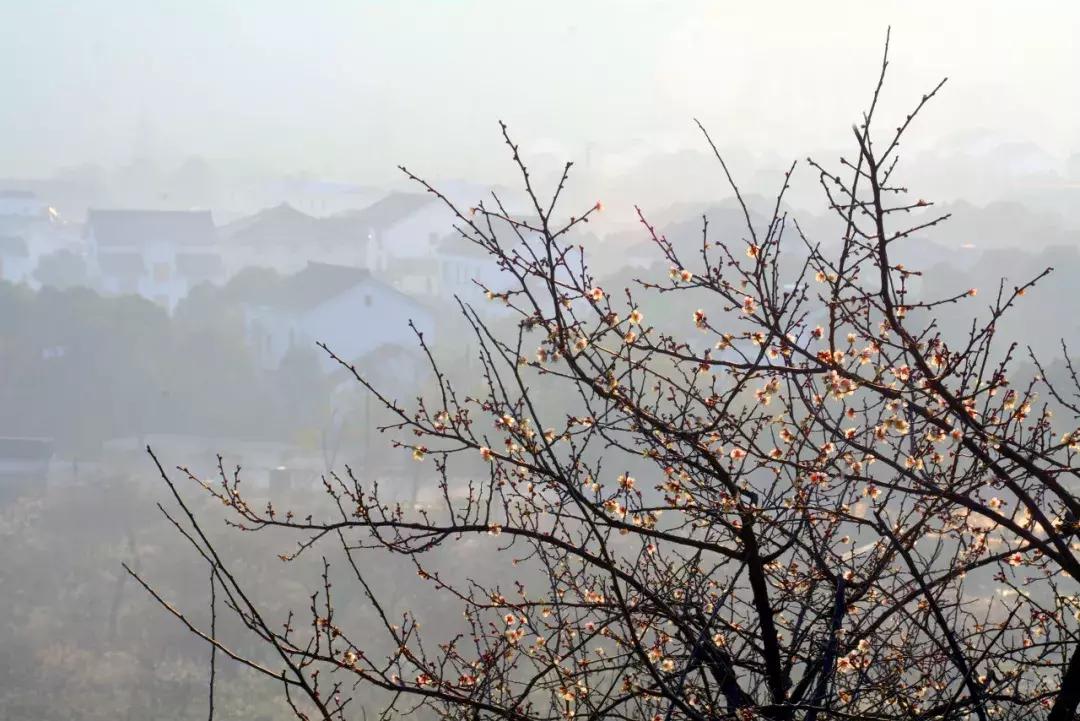 江苏的古镇有哪些值得去看看,江苏最值得打卡的十大古镇