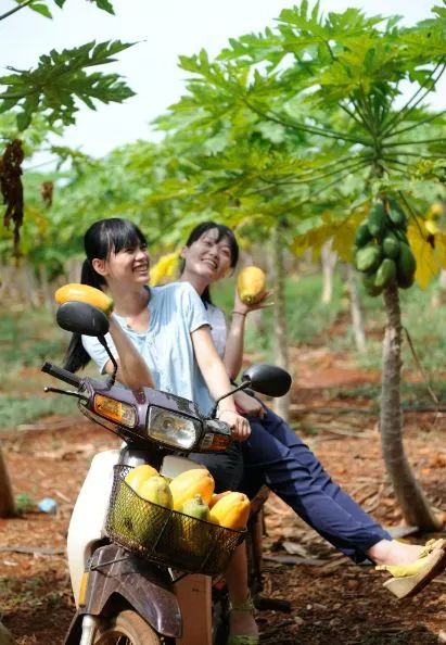 距海南仅20km，这个处女地比台湾风情、比三亚便宜，你错过了吗？