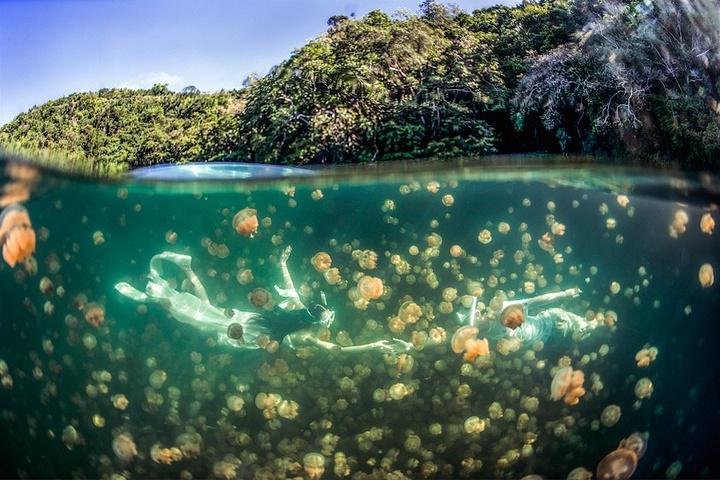 地球上最“奇特怪异”的10处湖泊