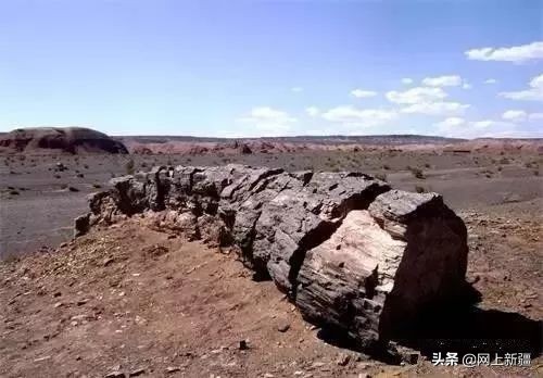 戈壁滩上的宝贝,新疆戈壁沙漠上的宝贝