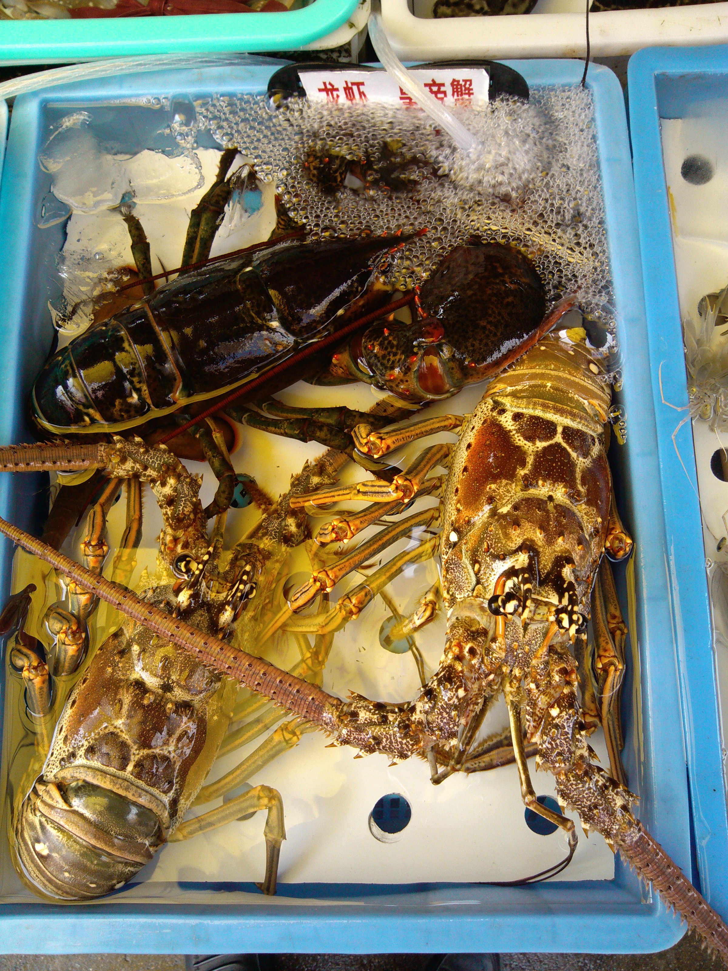 珠海石景山公园攻略,珠海澳门环岛游时间表