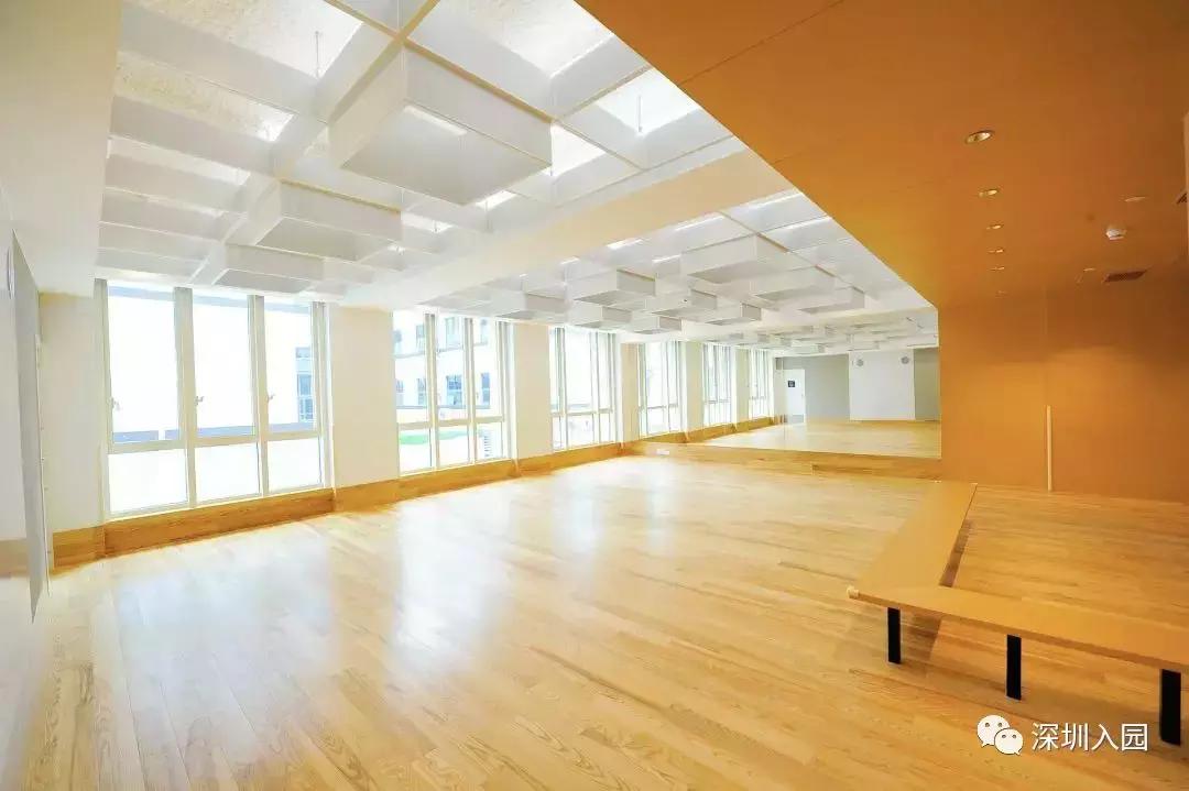 年薪50万以下不要上的幼儿园,深圳公立幼儿园有小小班吗