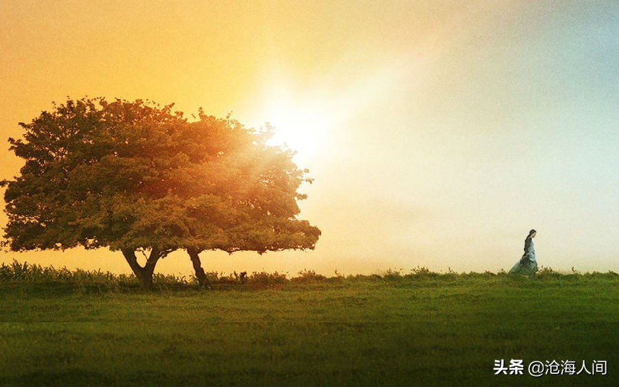鲍勃迪伦音乐全集,blowinginthewind鲍勃迪伦