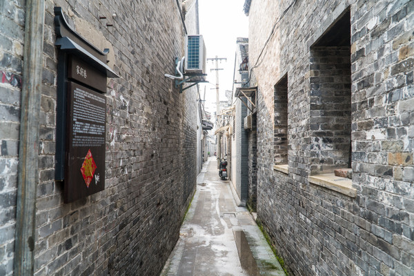 踏春赏花拍美景,踏春赏花逛湖