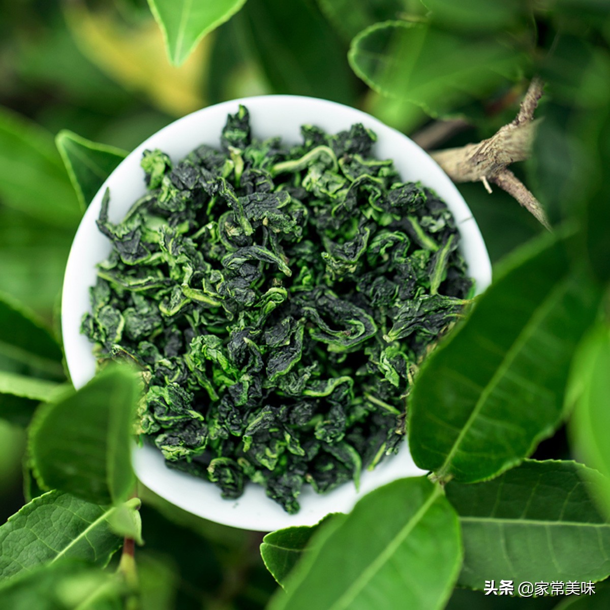 茶叶的种类及中国十大名茶,中国十大名茶和茶叶品牌有哪些呢
