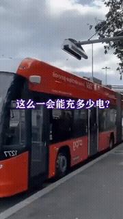 12岁的学生吹牛当上了校长全集,12岁的学生吹牛当上了校长