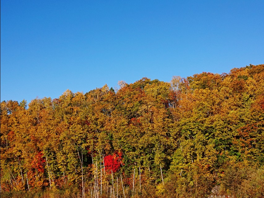 北海道登别到美瑛町需多久,日本北海道美瑛川的雪景