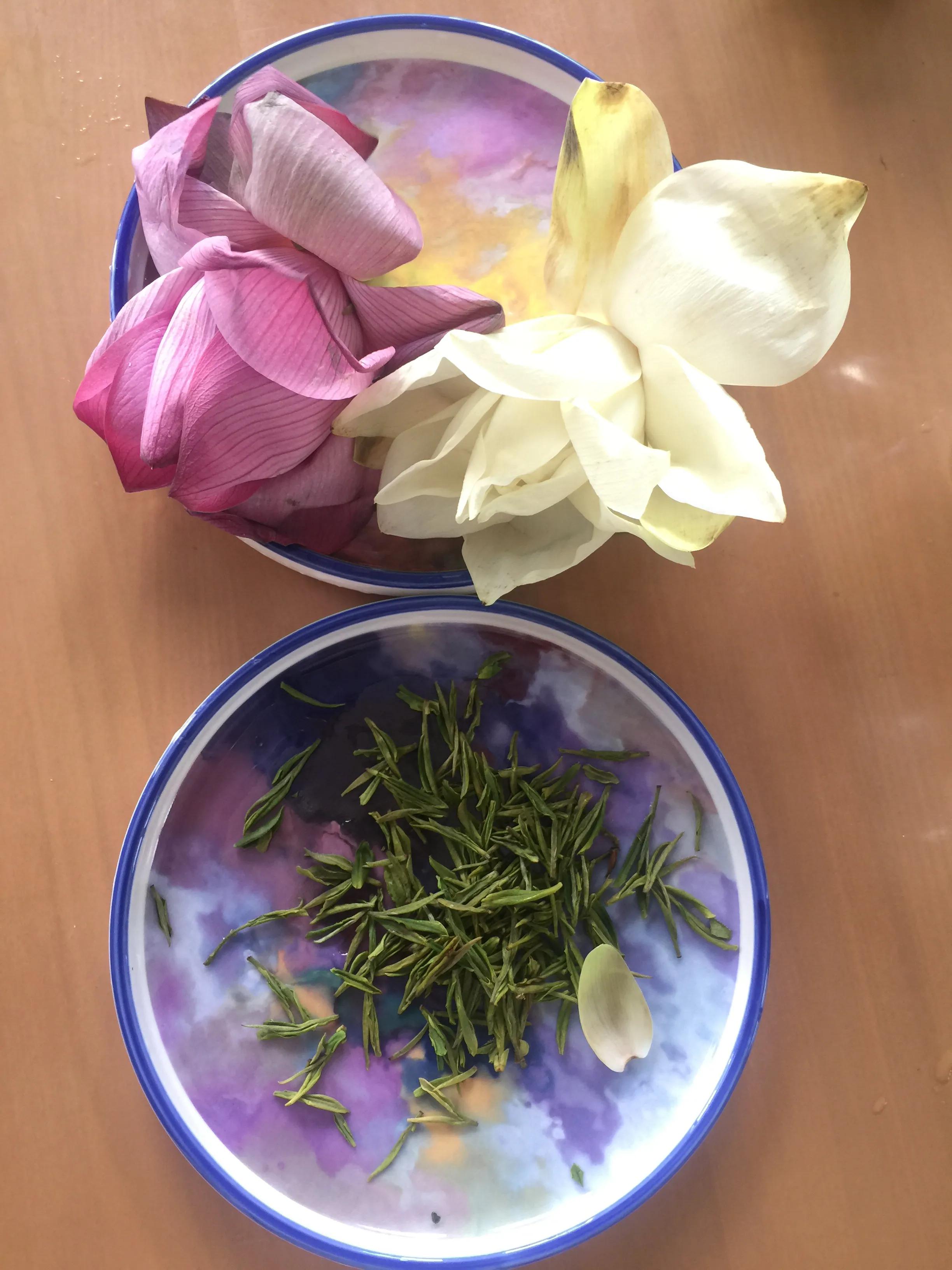 稚吟秋声全文,稚吟秋声原创