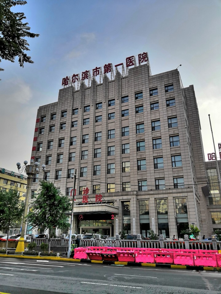 哈尔滨市内环境,哈尔滨一年四季的现状