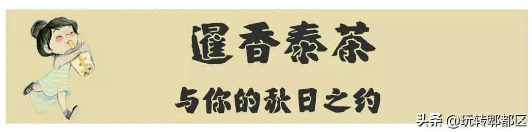 暹香泰茶和素匠泰茶,暹香泰茶好不好