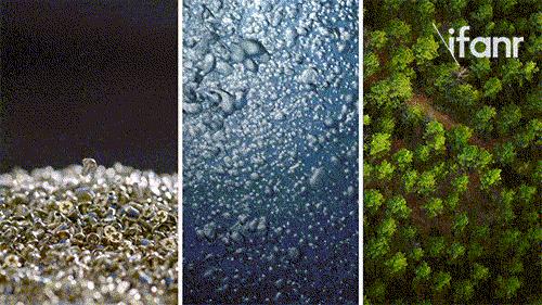 用行动助力环保,用行动共赴环保未来