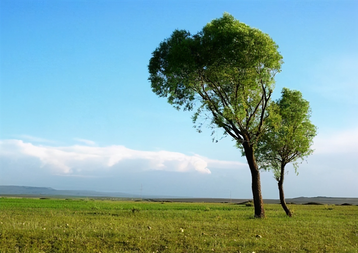 广州单亲爸爸花高价培养儿子，拒绝再婚，19岁儿子留学后却自杀了
