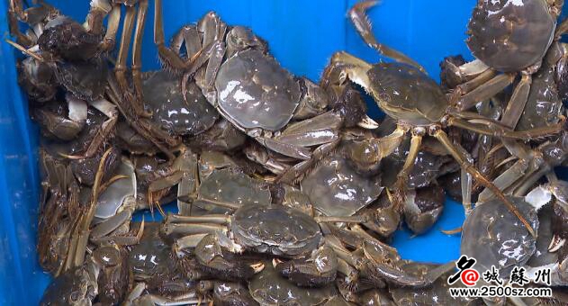 淘宝双十一的电商战略,淘宝双十一电商模式有哪些