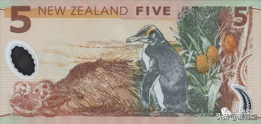 新西兰第一个除总统以外出现在塑料钞上的攀登者