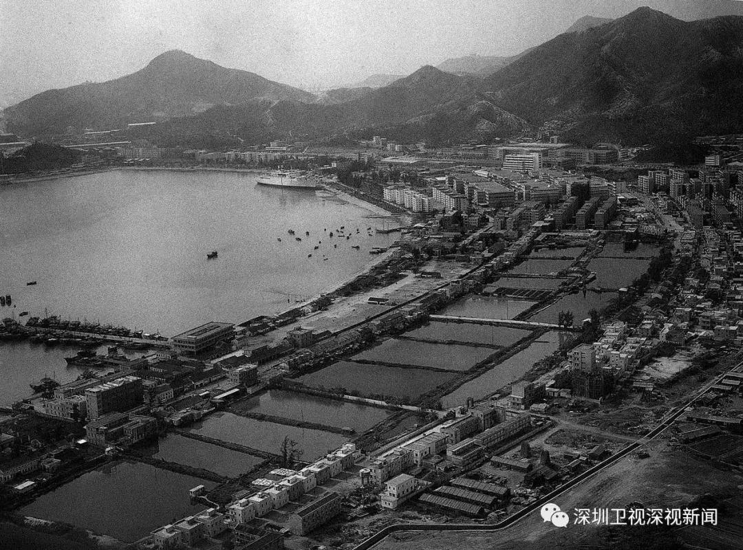 蛇口工业区的发展历程是怎样的,蛇口工业区杀出一条血路