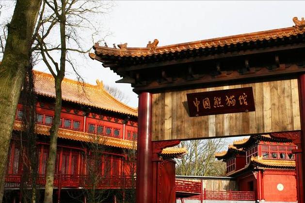 100张荷兰照片世界之最,人间天堂100张图片