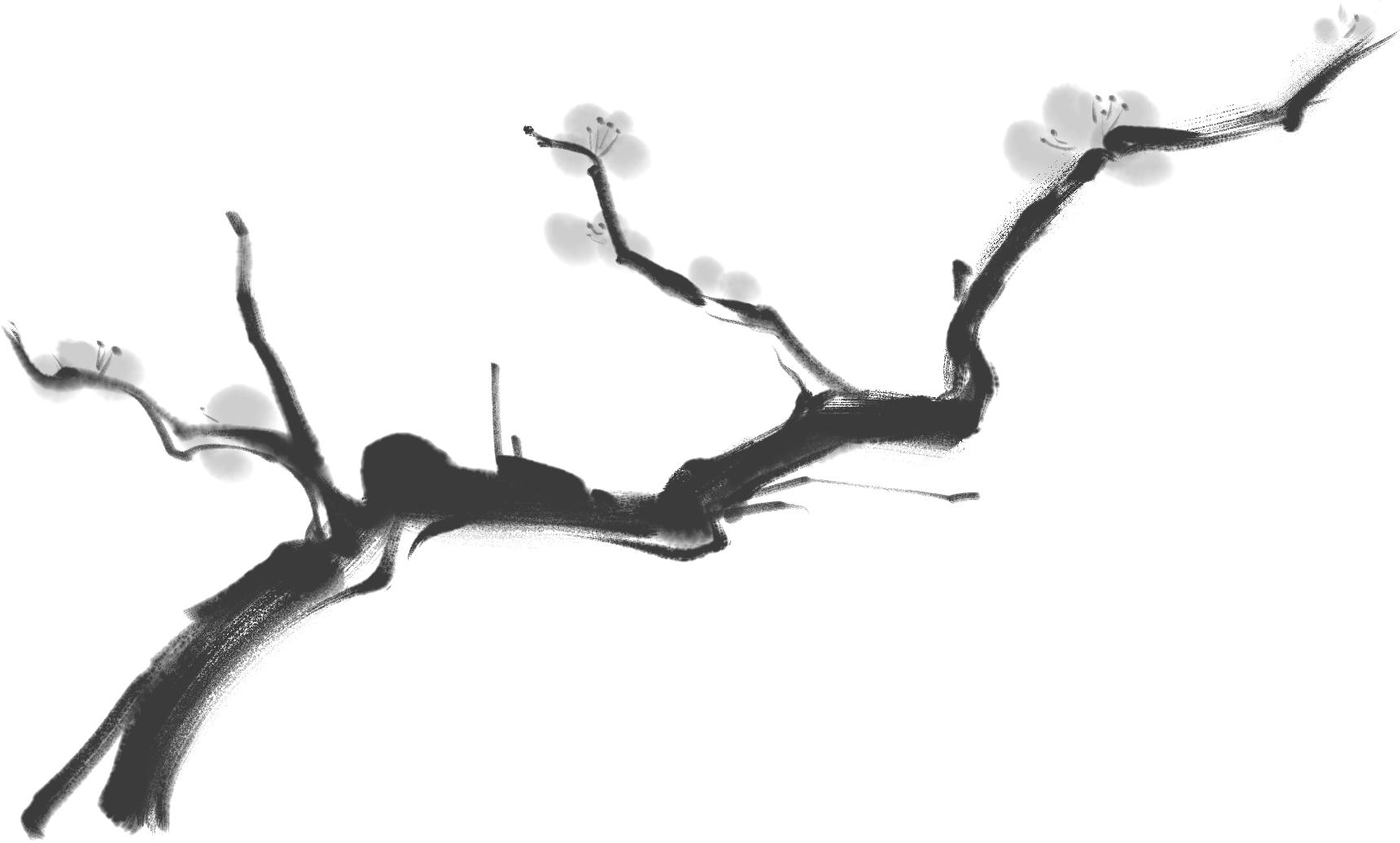 牛奶和别的饮料是不能一起喝的,牛奶和鸡蛋不能一起吃吗