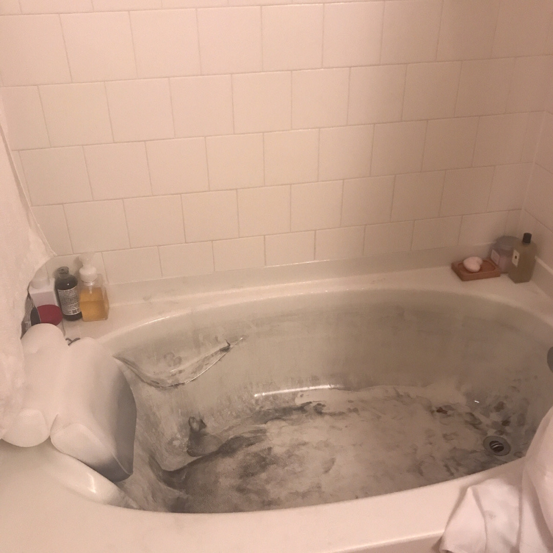 乌贼宰杀视频,乌贼被杀瞬间