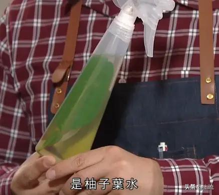 柚子叶洗澡有什么讲究,广州人为什么喜欢用柚子叶洗澡