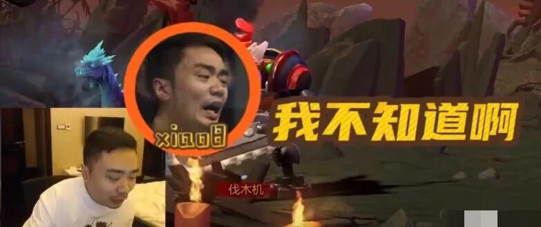 王者荣耀举报dota2,王者荣耀玩家玩dota2被反补