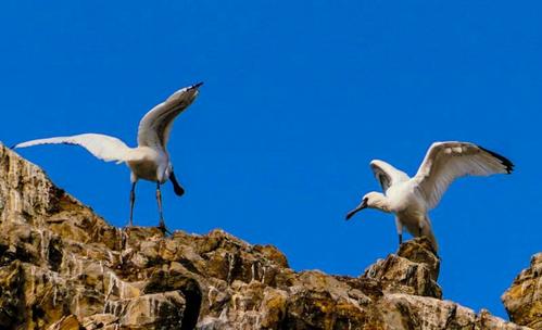 辽宁被低估的城市,辽宁最被低估的省份