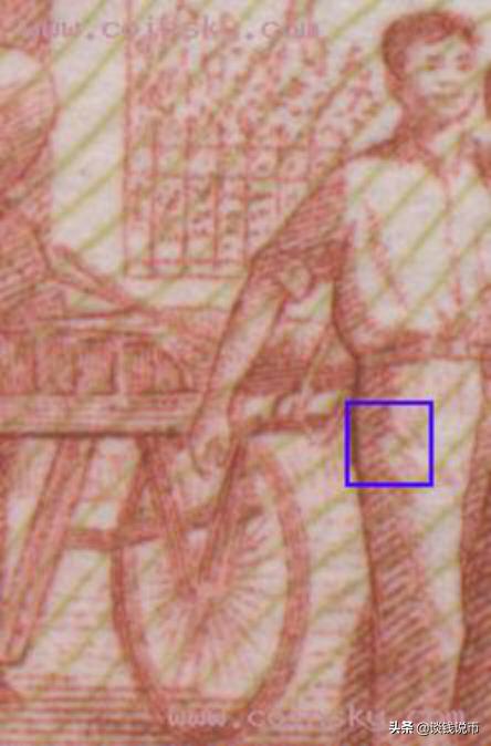 第三套人民币样币真品正背图片,第三套人民币五元版别