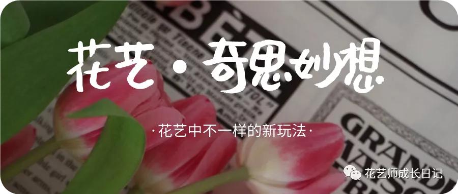奇思妙想的插花艺术,花店创意点子