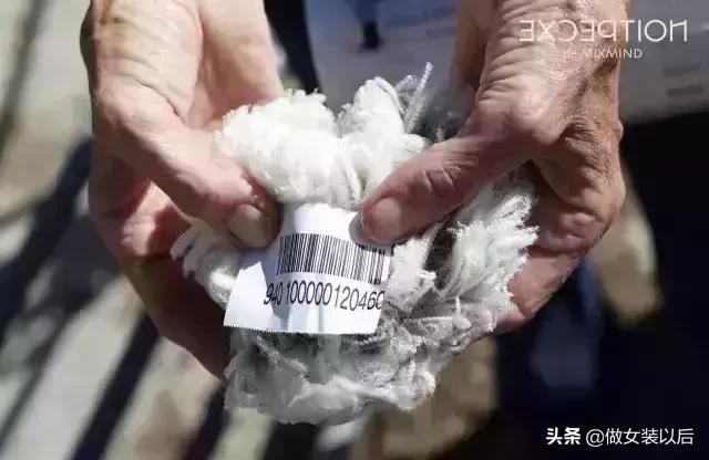 例外旗下品牌,中国例外品牌