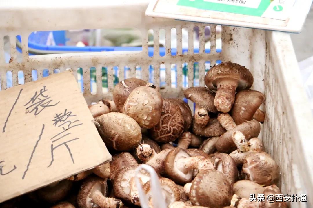 在西安，你一定要逛一次万寿路的早市