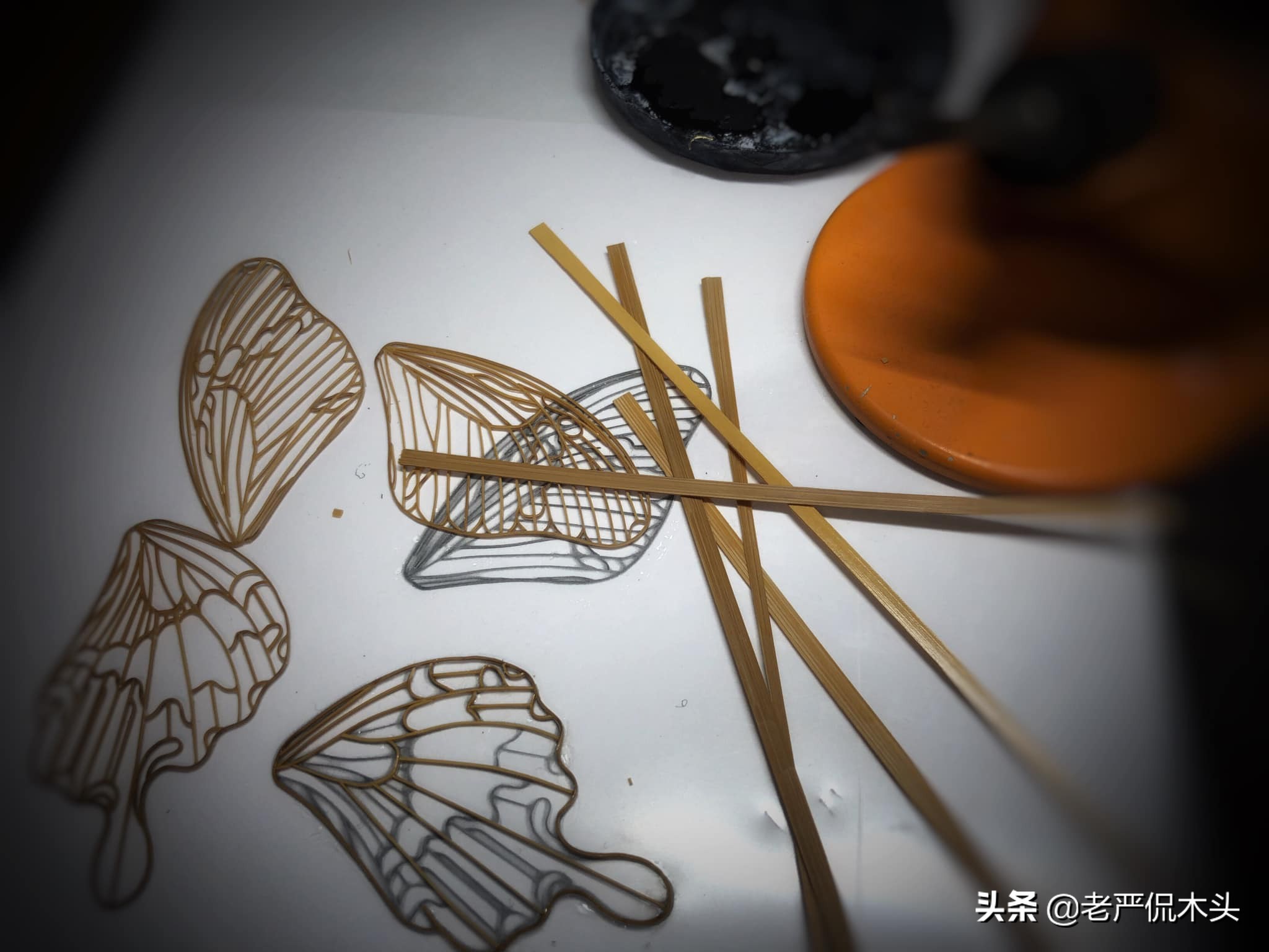 昆虫标本树脂竹节虫,昆虫标本制作竹节虫