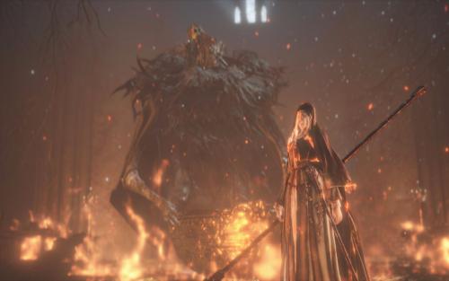 暗黑3单刷哪个职业值得长期玩,黑暗之魂3新手入场