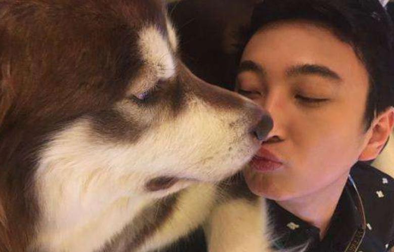 王思聪与女网红互怼始末,王思聪手撕女网红