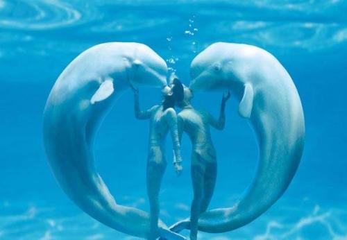 哈尔滨极地馆景点夏季,哈尔滨极地馆附近还有什么景点