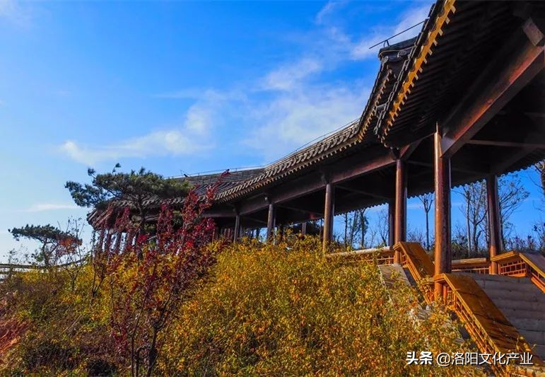 洛阳万安山七彩大峡谷与山顶公园,2020年洛阳万安山山顶公园照片